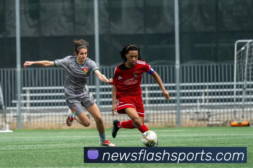 球赛投注品牌故事